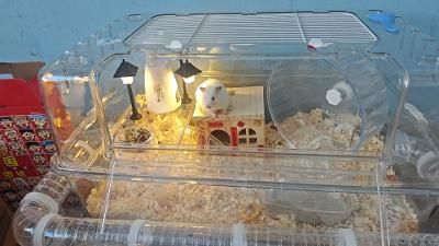 2025-08-21 工作日志